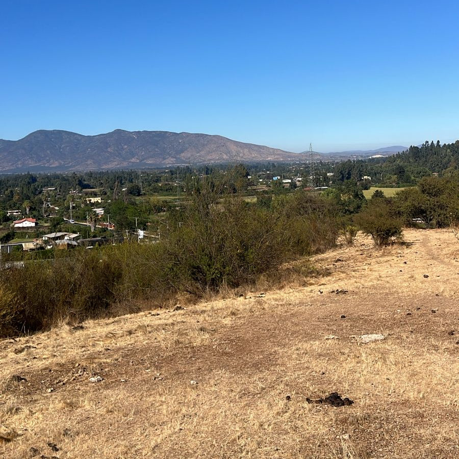 🌿Parcelas en Venta – Culiprán, Melipilla
