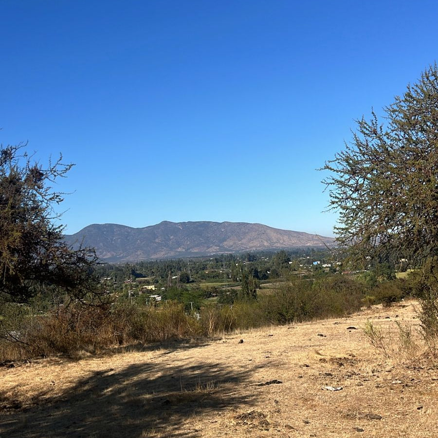🌿Parcelas en Venta – Culiprán, Melipilla
