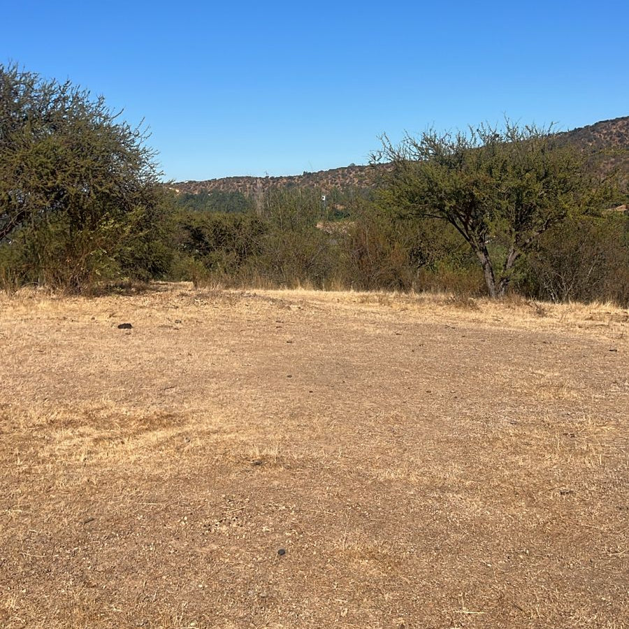 🌿Parcelas en Venta – Culiprán, Melipilla