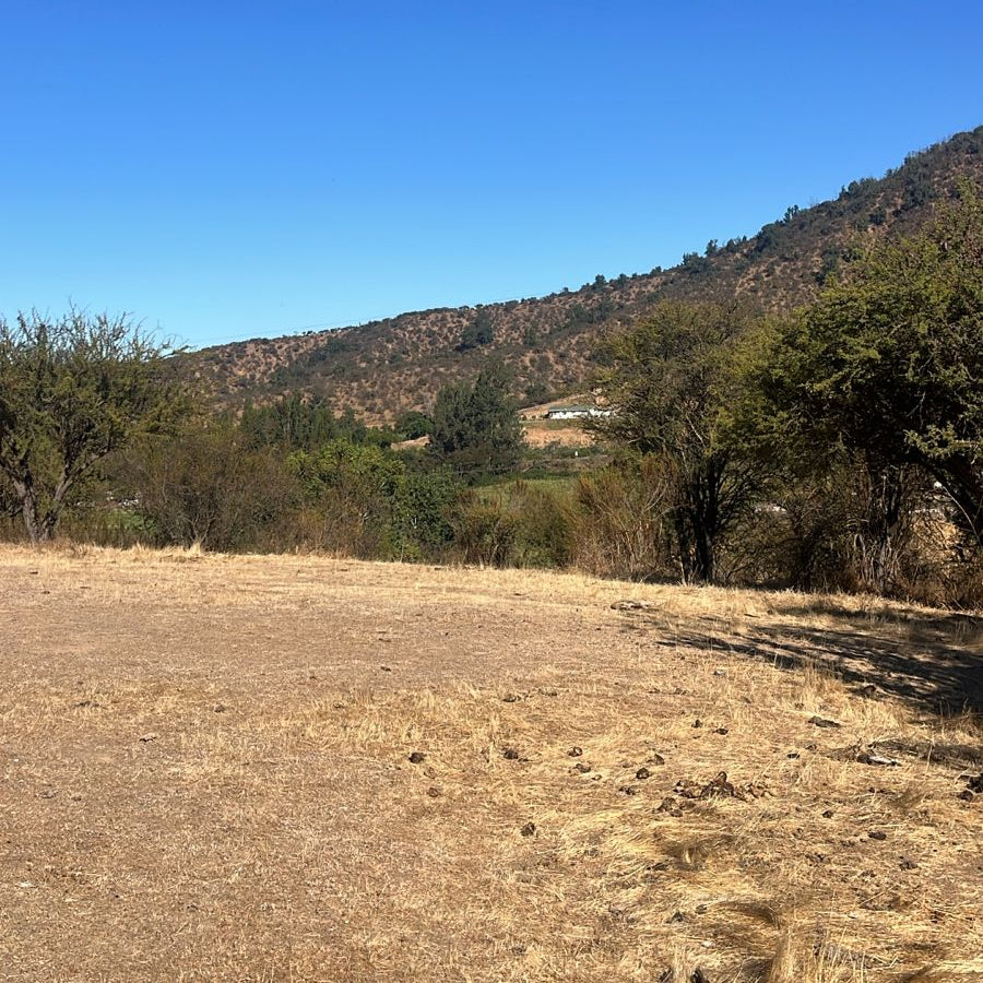 🌿Parcelas en Venta – Culiprán, Melipilla