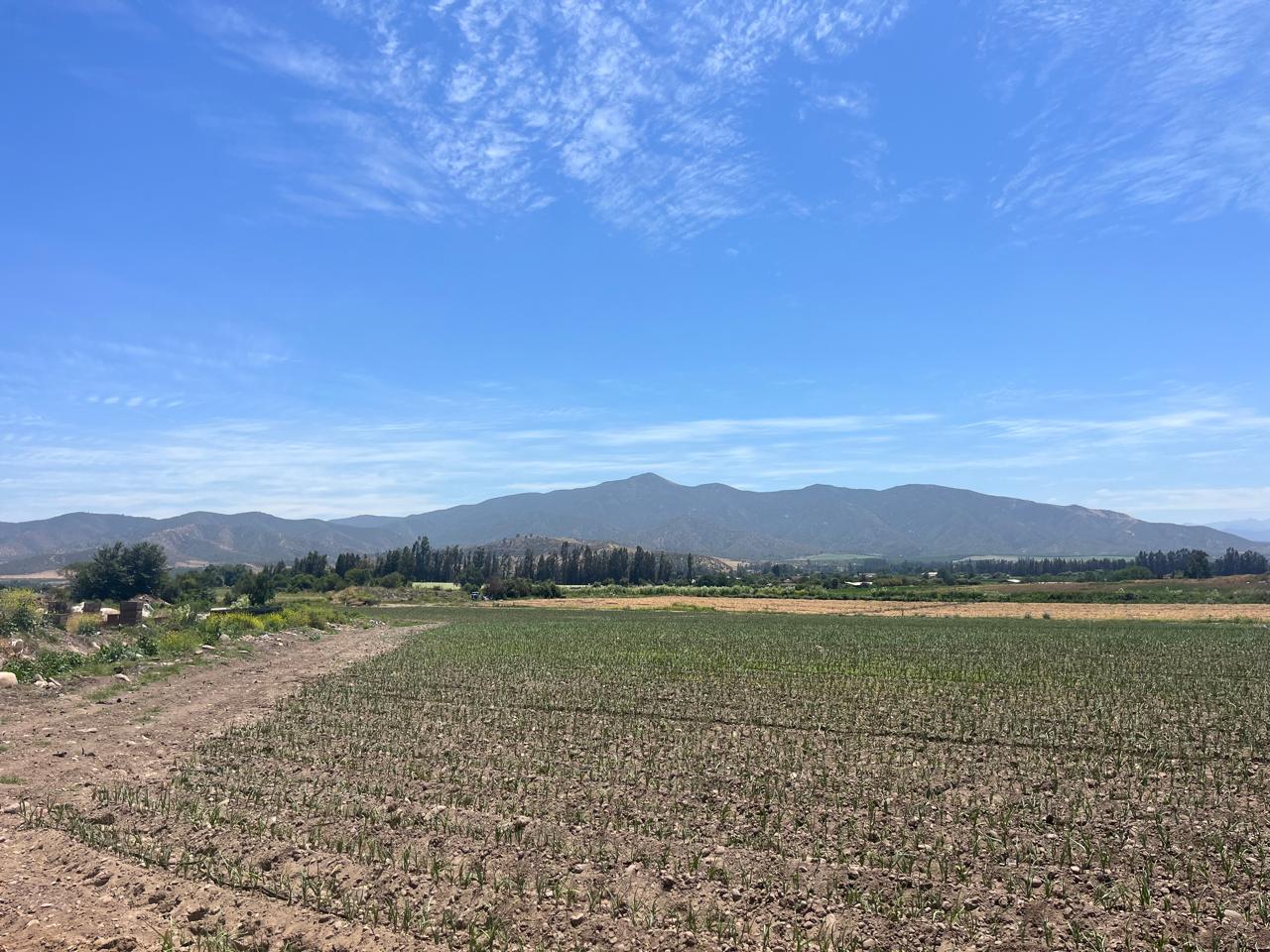 🌄 Nuevo Proyecto: Parcelación Valles de Lumbrera – Melipilla ¡Comienza la venta! 33 lotes disponibles.