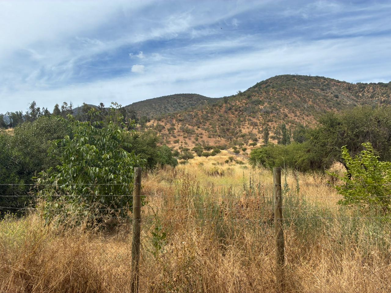 🌿 Parcela de Agrado en Venta – Cholqui, Melipilla 🌿