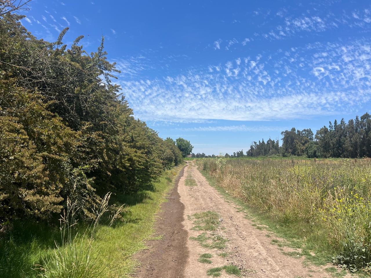 🌄 Nuevo Proyecto: Segunda Etapa en Venta – Condominio San Rafael | Melipilla ¡Comienza la venta! 11 lotes disponibles.