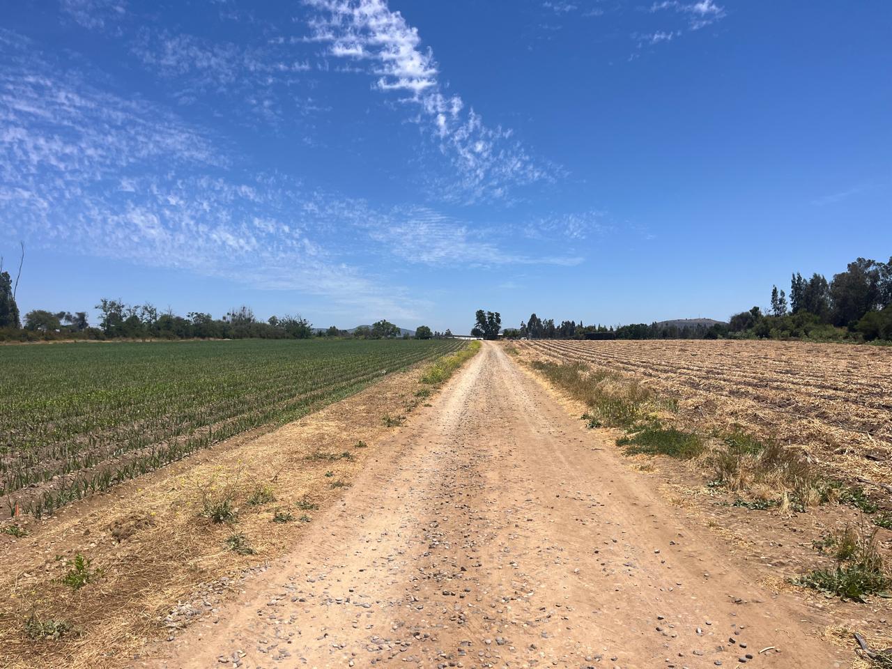 🌄 Nuevo Proyecto: Parcelación Valles de Lumbrera – Melipilla ¡Comienza la venta! 33 lotes disponibles.