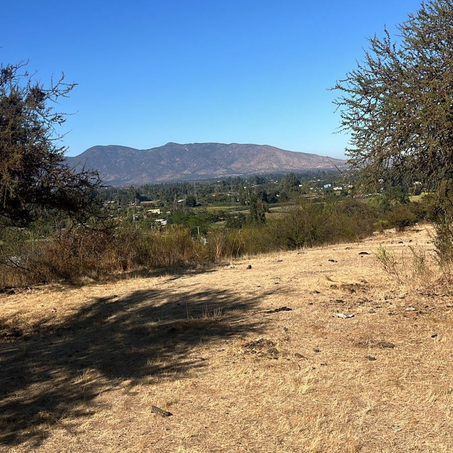 🌿 Parcelas de 5.000 m² en Venta – Culiprán, Melipilla