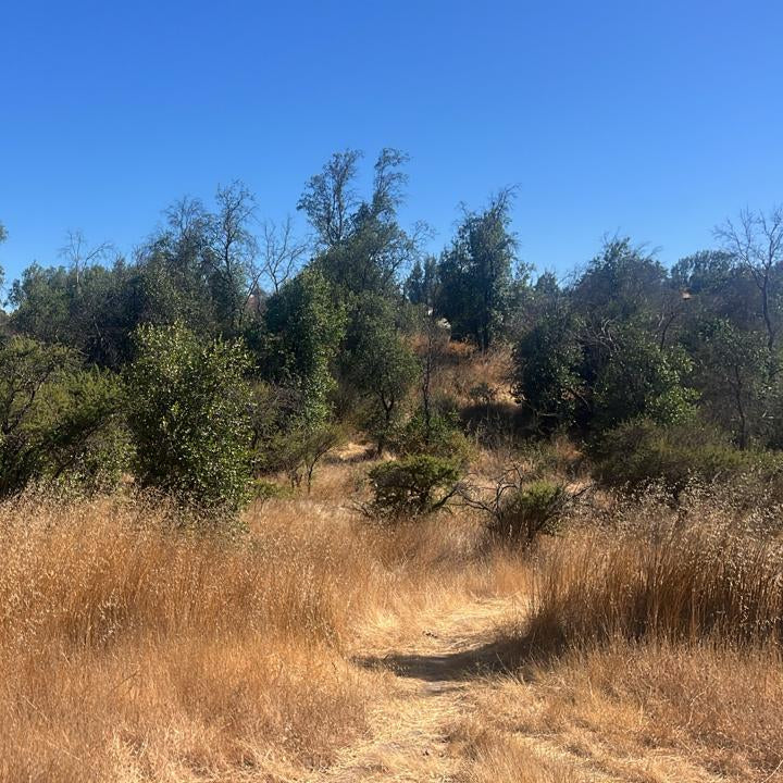 🌿 Parcelas de 5.000 m² en Venta – Culiprán, Melipilla