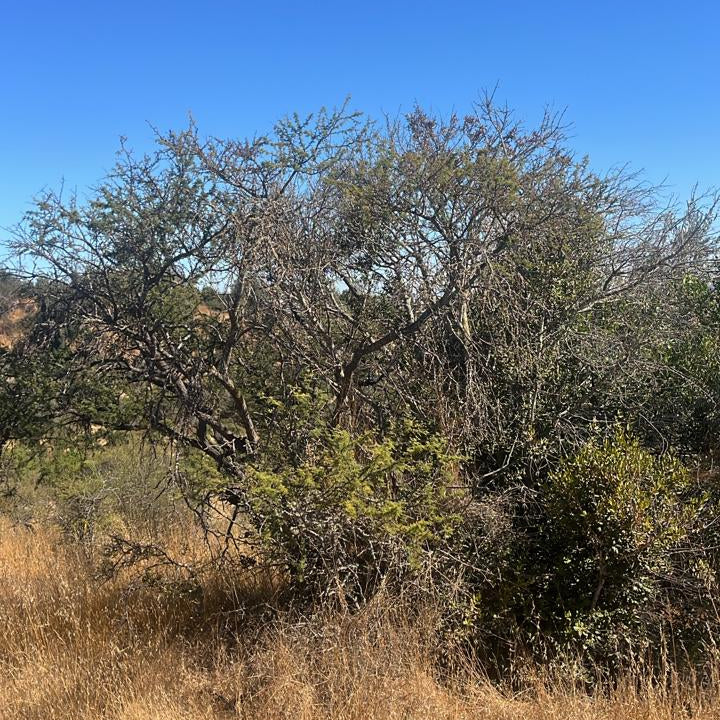🌄 Parcelas de 4 Hectáreas en Venta