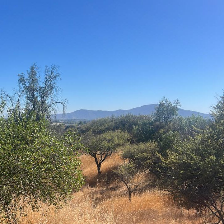 🌄 Parcelas de 4 Hectáreas en Venta