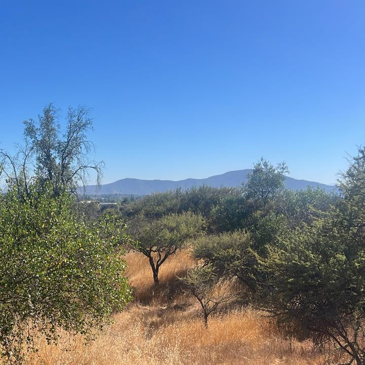 🌿 Parcelas de 5.000 m² en Venta – Culiprán, Melipilla