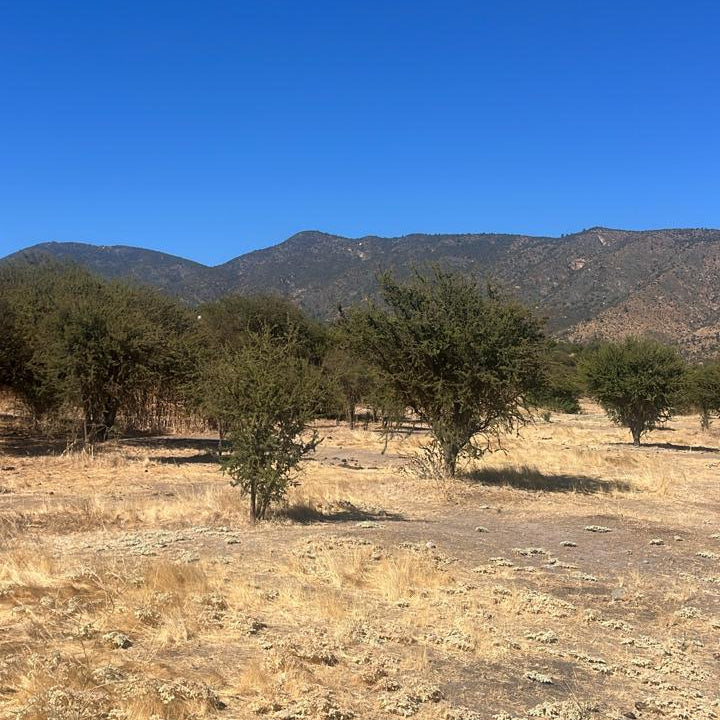 🌄 Parcelas de 4 Hectáreas en Venta