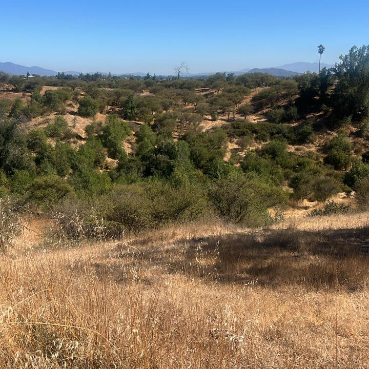 🌿 Parcelas de 5.000 m² en Venta – Culiprán, Melipilla